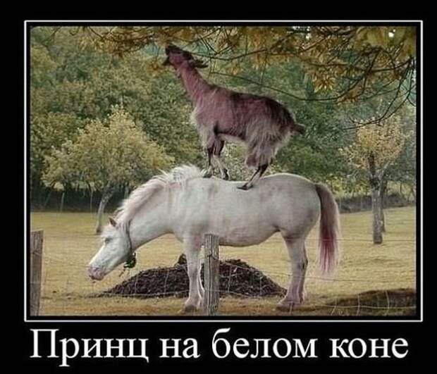 Давайте улыбаться вместе! Давайте улыбаться вместе!