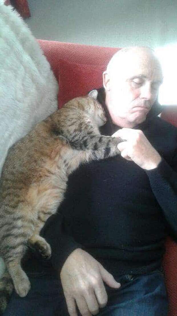 мужчина спит рядом с кошкой