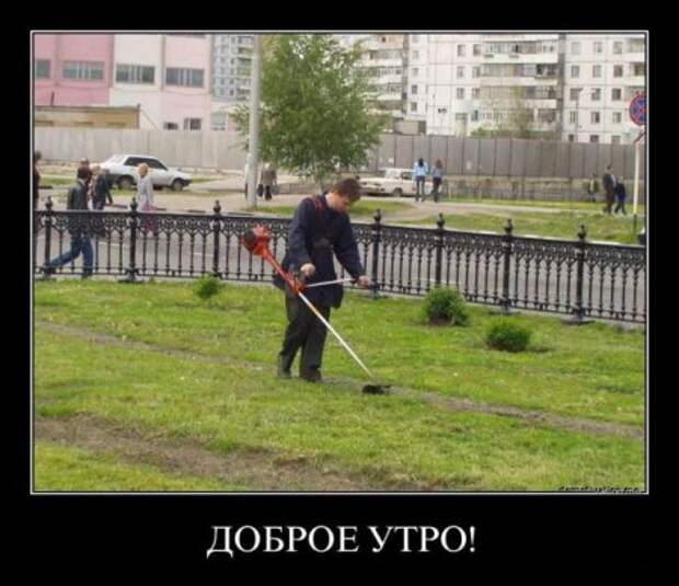 Демотиватоы любой день прикольным сделают.