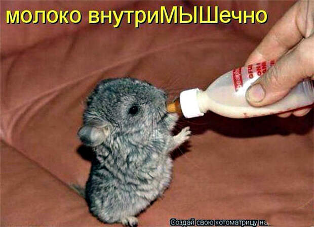 image (700x507, 333Kb)