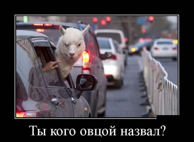 Демотиваторы (30 фото)