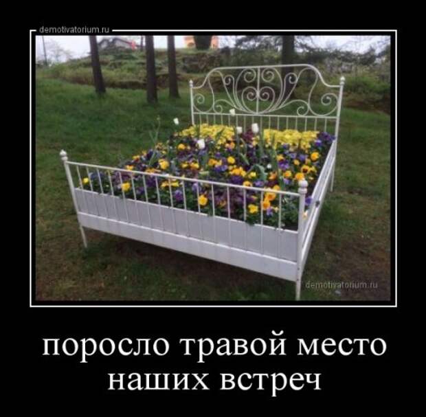 Свежие демотиваторы-приколы (14 шт)
