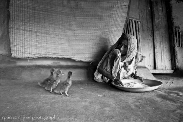 25-photos-that-show-that-life-is-actually-beautiful-artnaz-com-10