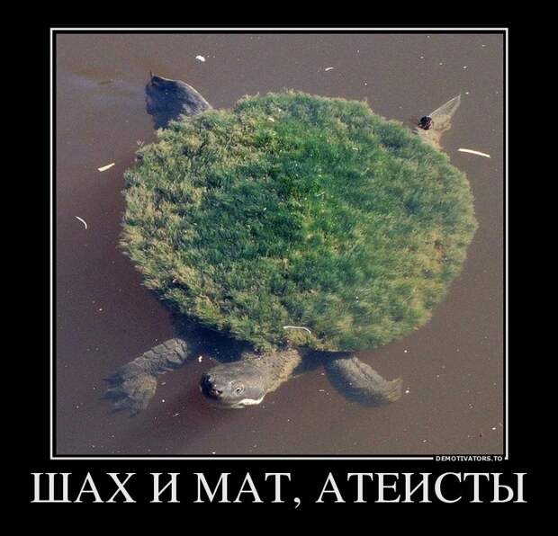 Демотиваторы демотиваторы