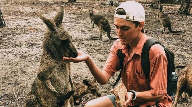 Парень сильно напился перед Новым годом, а спустя несколько месяцев он узнал, что усыновил кенгуру