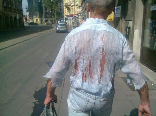 Модники мода, одежда