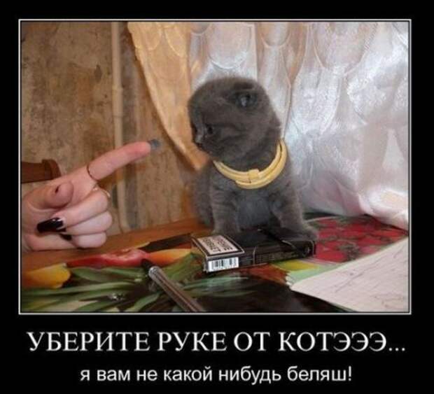 Демотиваторы, прикольные картинки, лучшие за неделю.