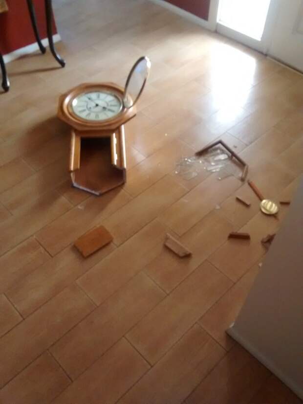 на что способен пьяный человек