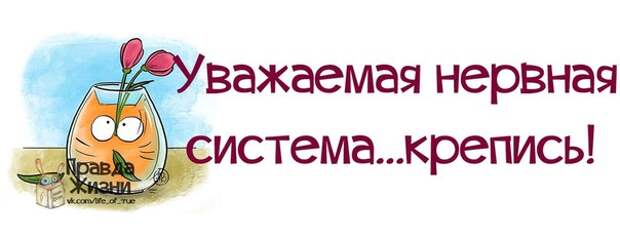 Веселые фразочки для хорошего настроения Веселые фразочки для хорошего настроения