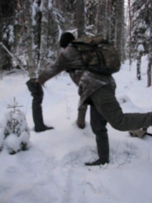 Отпуск в лесу