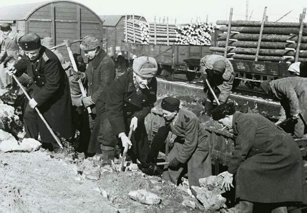 Редкие фотографии Великой Отечественной войны (49 фото)