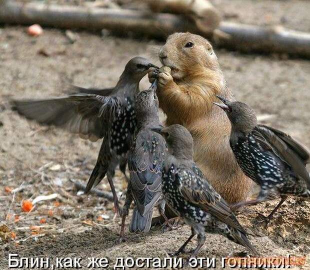 Мысли в слух