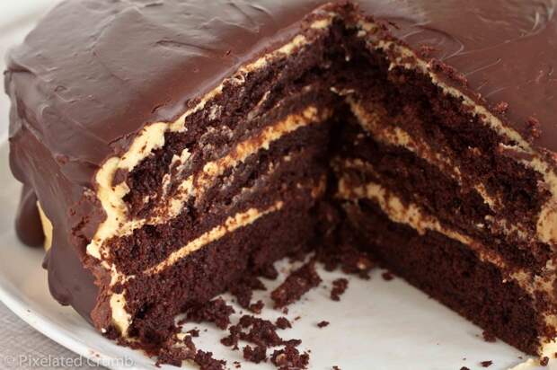 ultimate chocolate peanut butter cake 1 1024x682 the ultimate chocolate peanut butter cake