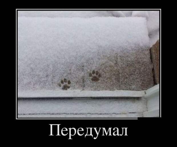 Демотиваторы демотиваторы, юмор