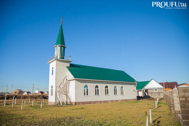 _MG_1528.jpg