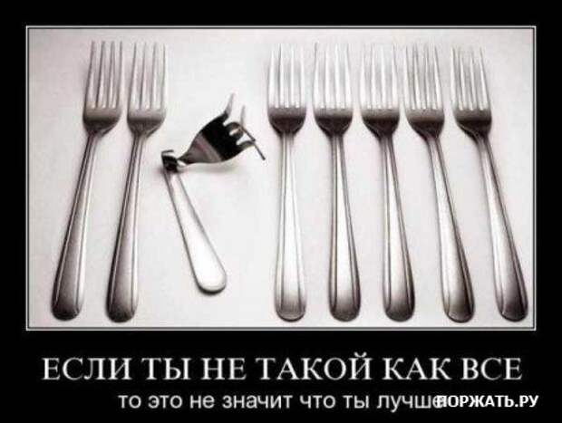 Демы прикольные у нас таких на сайте много.