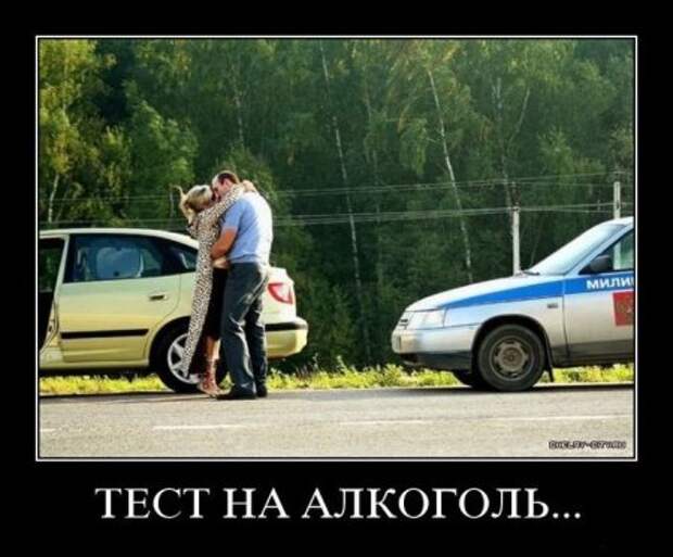 Демотиваторы картинки смешно и новые.