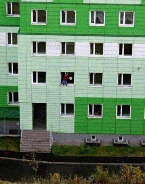 Прикольные картинки