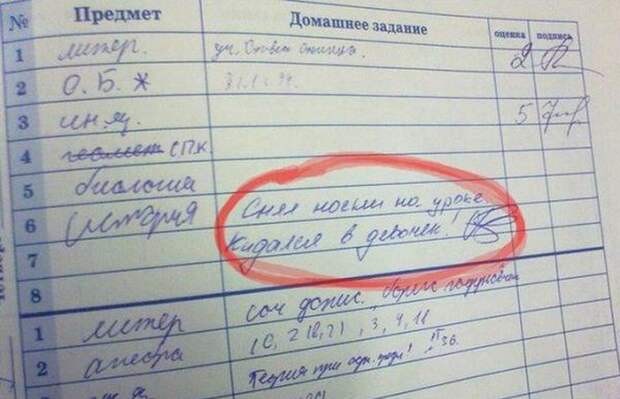 15 перлов из школьных тетрадей 15 перлов из школьных тетрадей дети, перлы, школа