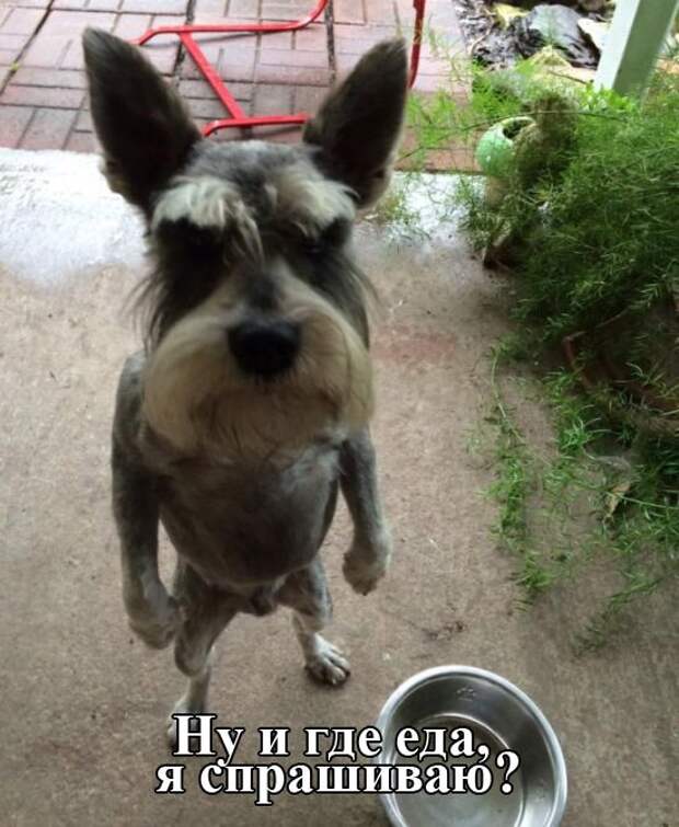 Приколюхи. Очень смешно!
