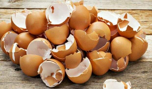 Не выбрасывайте скорлупки от яиц - они могут принести пользу для вашего организма