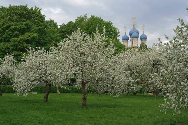 Музей-заповедник «Коломенское»