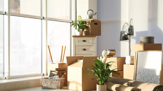 Какие вещи нет смысла хранить «на всякий случай» — отнесите на помойку и забудьте