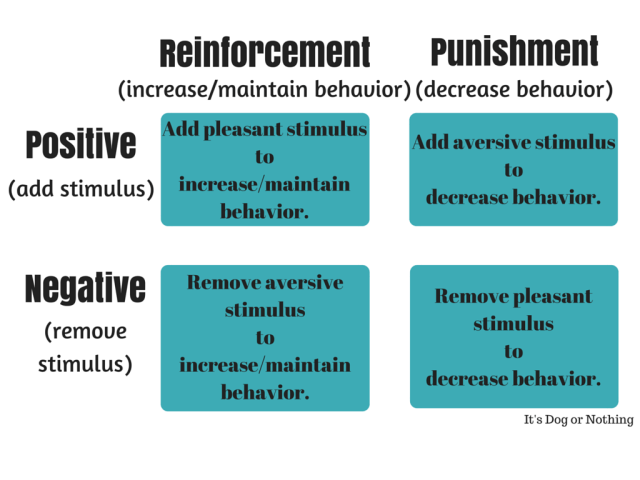 So many people assume that the only way to control a giant breed dog is through force such as a choke or prong collar. There are so many detriments to using such an aversive tool. Thankfully, there are better ways to ensure your dog doesn't pull you down the street.
