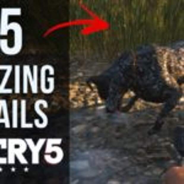 Обнаружены 25 интересных особенностей в Far Cry 5  