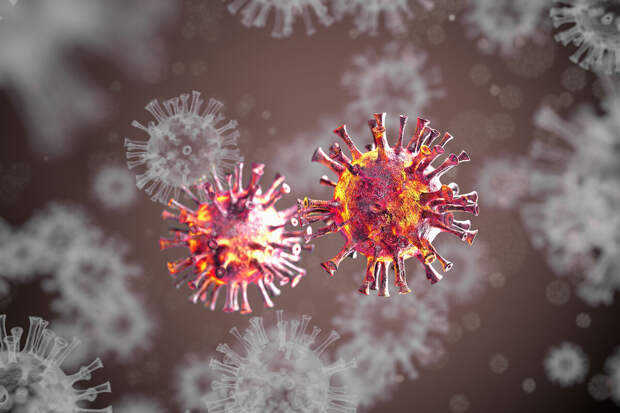 ПНИПУ: Нипах легко спутать с энцефалитами, тяжелым COVID-19 или пневмонией