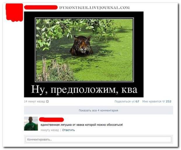 Смешные комментарии из социальных сетей 05.06.14 комментарии, прикол, соцсети