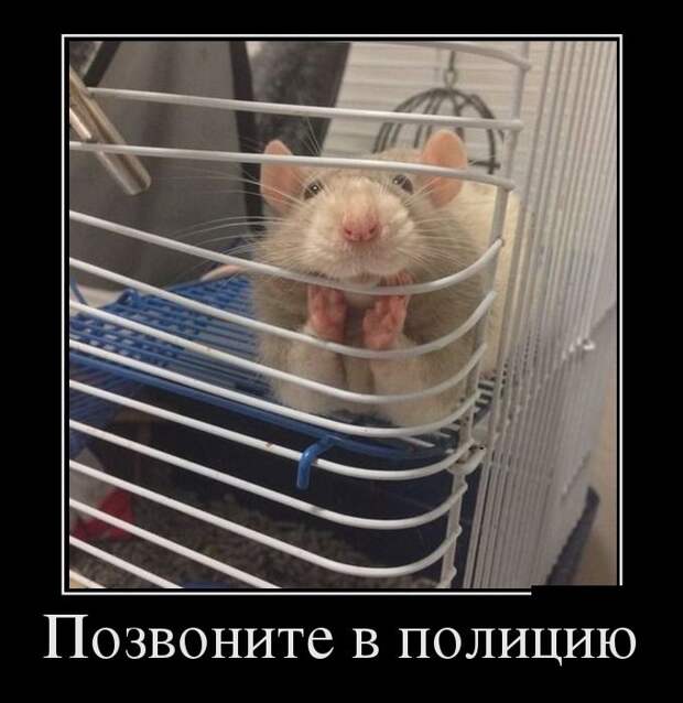 Сборник прикольных демотивационных картинок Сборник прикольных демотивационных картинок