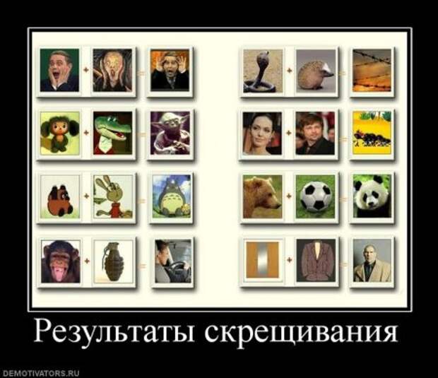 Демотиваторы смешные и очень прикольные смотрим тут!