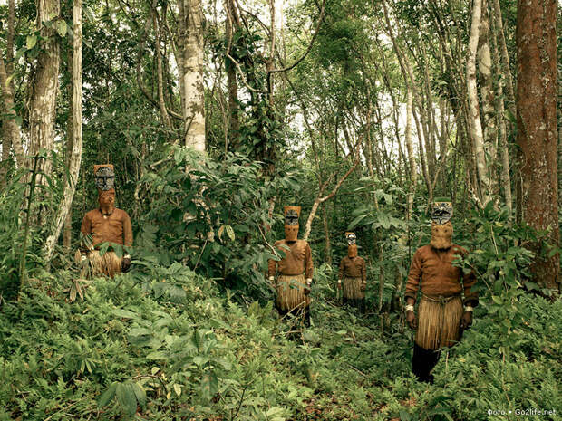 Индейцы - стражи леса