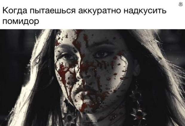 Чумная ерундистика 22