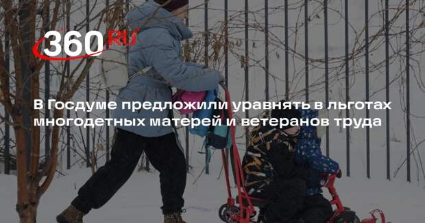 В Госдуме предложили уравнять в льготах многодетных матерей и ветеранов труда
