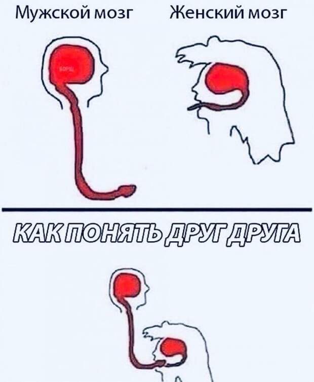 Мемы и приколы про 