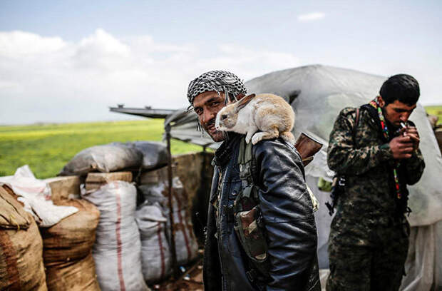 Сирийский пешмерга с кроликом на плече интересно, люди, мир, подборка, фотографии