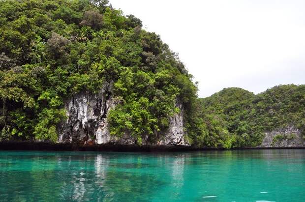 palau15 Скалистые острова Палау