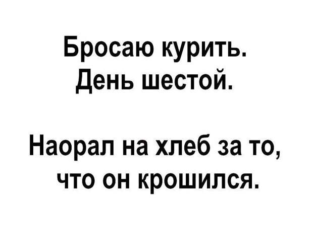 Картинки с надписями для настроения картинки с подписями, подборка, позитив, юмор