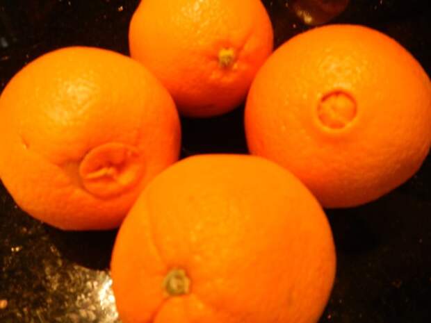 7. Навель, или апельсин с рубчиком (пупочный сорт апельсина), получил такое название, потому что нижняя часть такого апельсина и правда похожа на пупок. Чем больше пупок в апельсине, тем он слаще. Специалисты по фруктам полагают, что рубчик – на само апельсин, фаткы