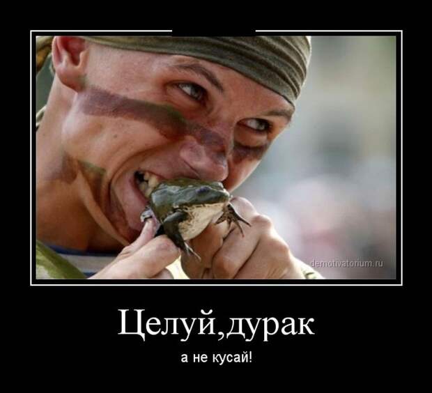 Демотиваторы демотиваторы, прикол, смех, юмор