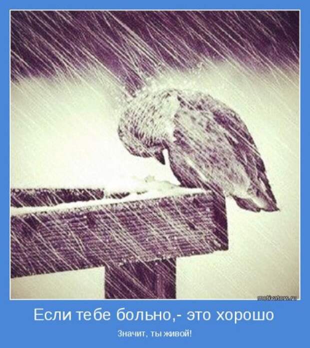 Смотрим, читаем и мотивируемся.