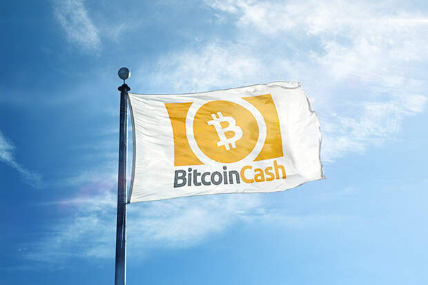 Логотип Bitcoin Cash