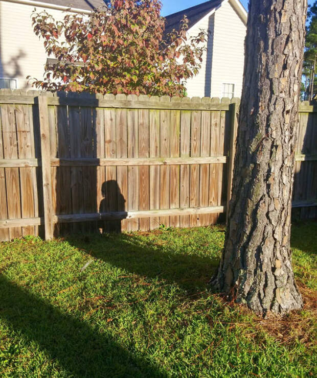My Son, The 3-Year-Old Hide And Seek Master