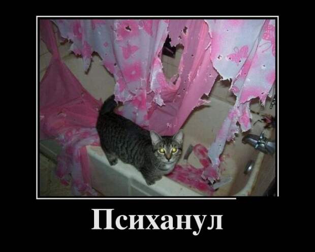 Демотиваторы (30 фото)