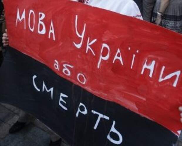 Второй фронт для Украины: вслед за Донбассом Киев развяжет войну на Закарпатье 