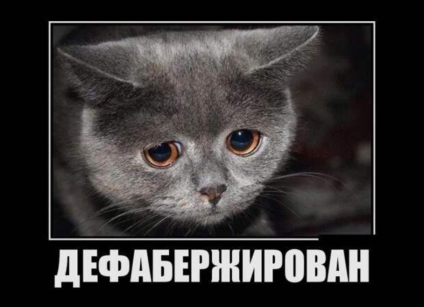 Демотиваторы (30 фото)
