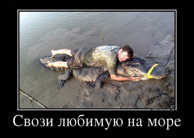 Демотиваторы 