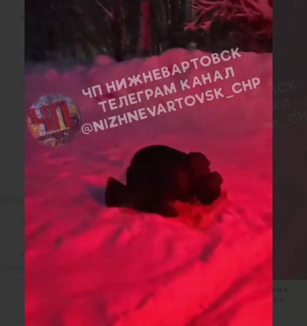 "Пусти в автобус, друг". Водитель в "минус 25" бросил своих пассажиров, чтобы совершить намаз